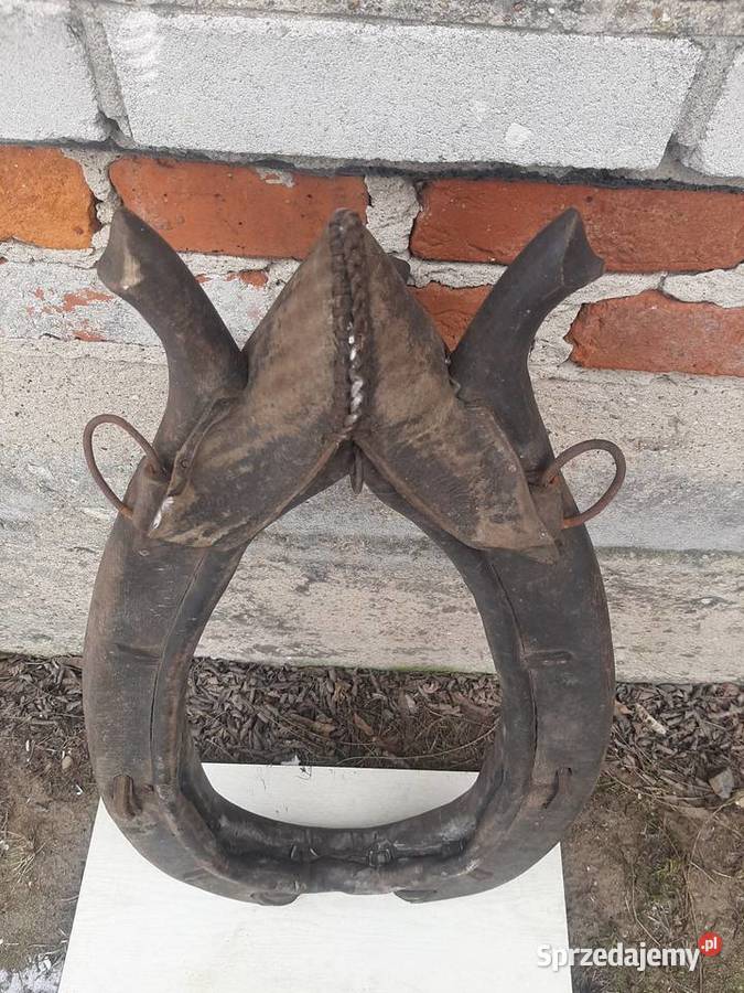 Stare chomonto Zgierz