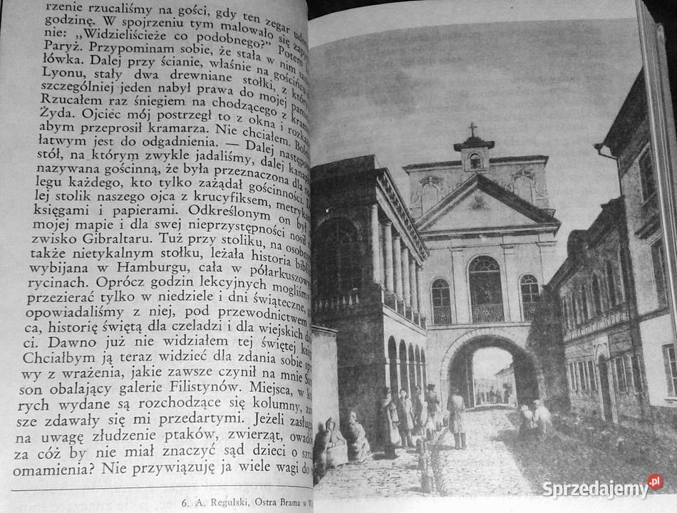 Doktor Panteusz w przemianach Placyd Jankowski lubelskie Chełm