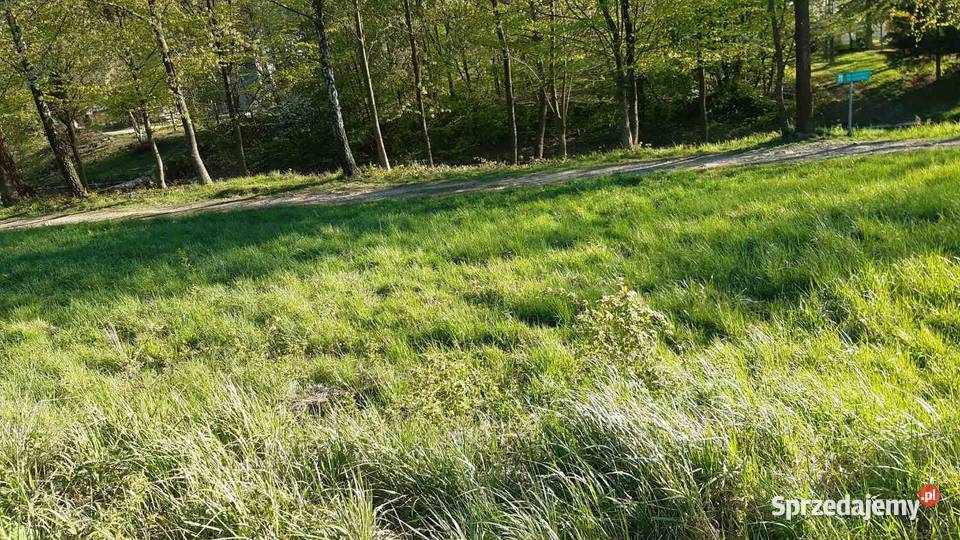 Działka rekreacyjna rzeką Porąbka łącznie 29 ar 2938m2 Sprzedaż Sprzedaż
