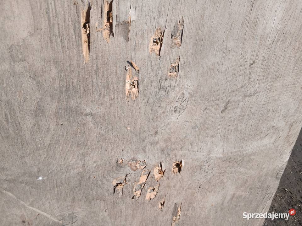 Wiatrówka sprężynowa 45mm śrut wielkopolskie Dębnica sprzedam