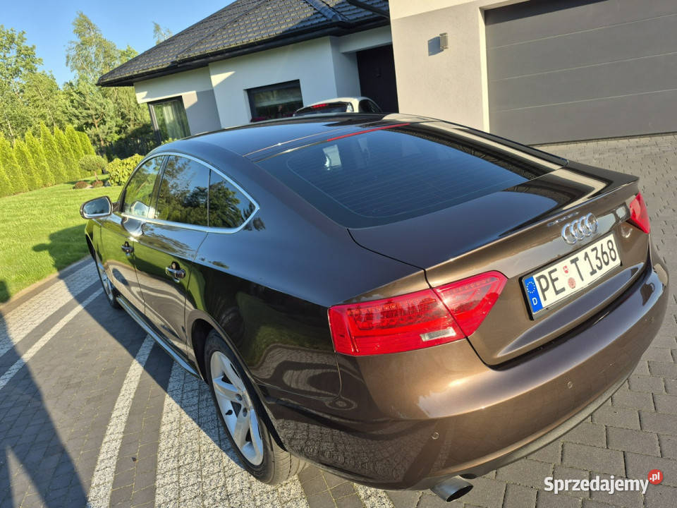 Audi A5 Sportback xenon led navi chromy ładny światła LED Drelów