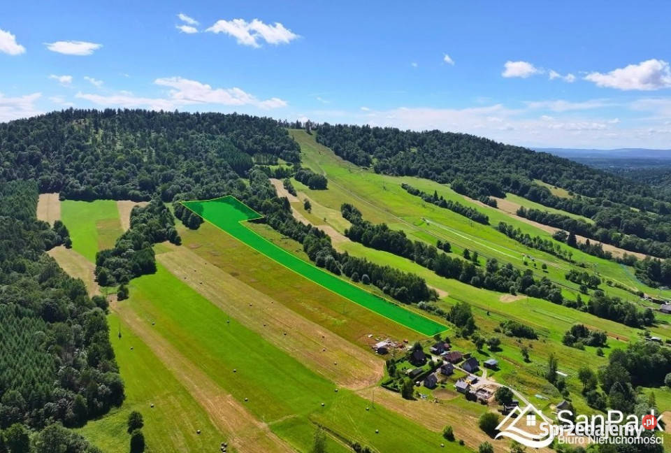 Działka Olszanica 22000m