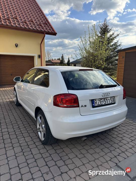Audi A3 2010r 16TDI 105 ZADBANY ABS sprzedam
