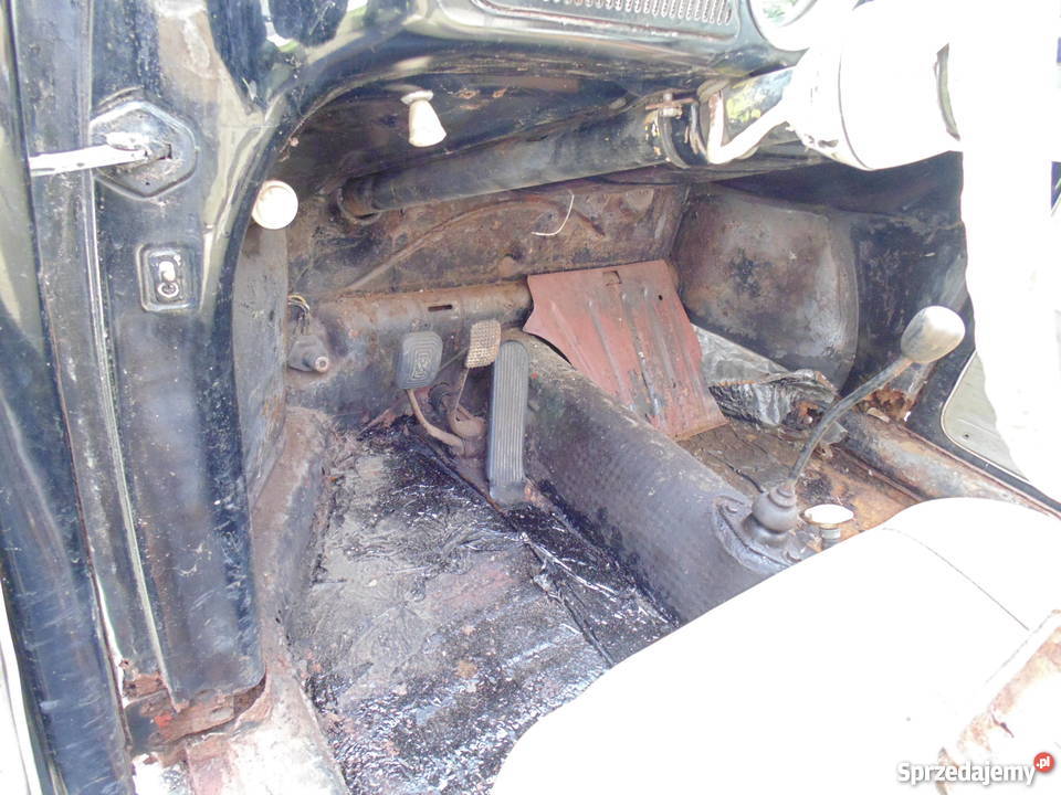 garbus dziadek 61 Nysa