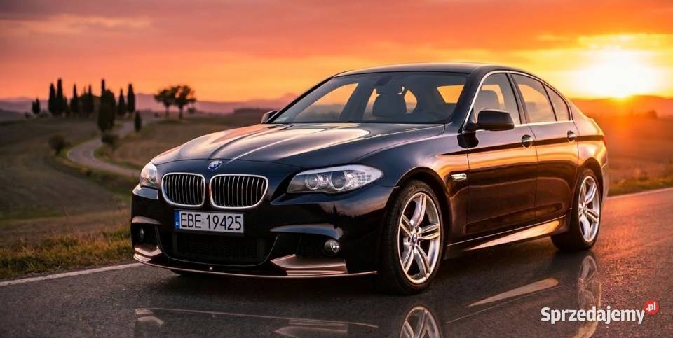BMW Seria 5 F10 MPakiet skóry zadbany okazja Bełchatów