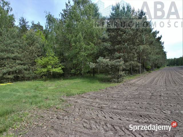 Działki rolne o powierzchni 124 ha Bądków 12400m2 wielkopolskie Bądków Pierwszy