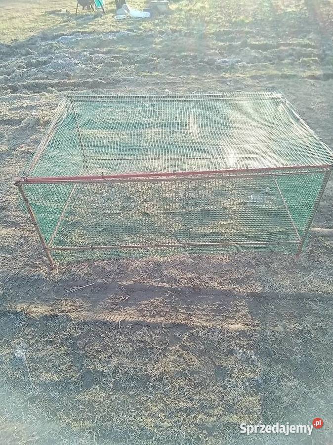 Woliera zagroda kurczat Przyborów