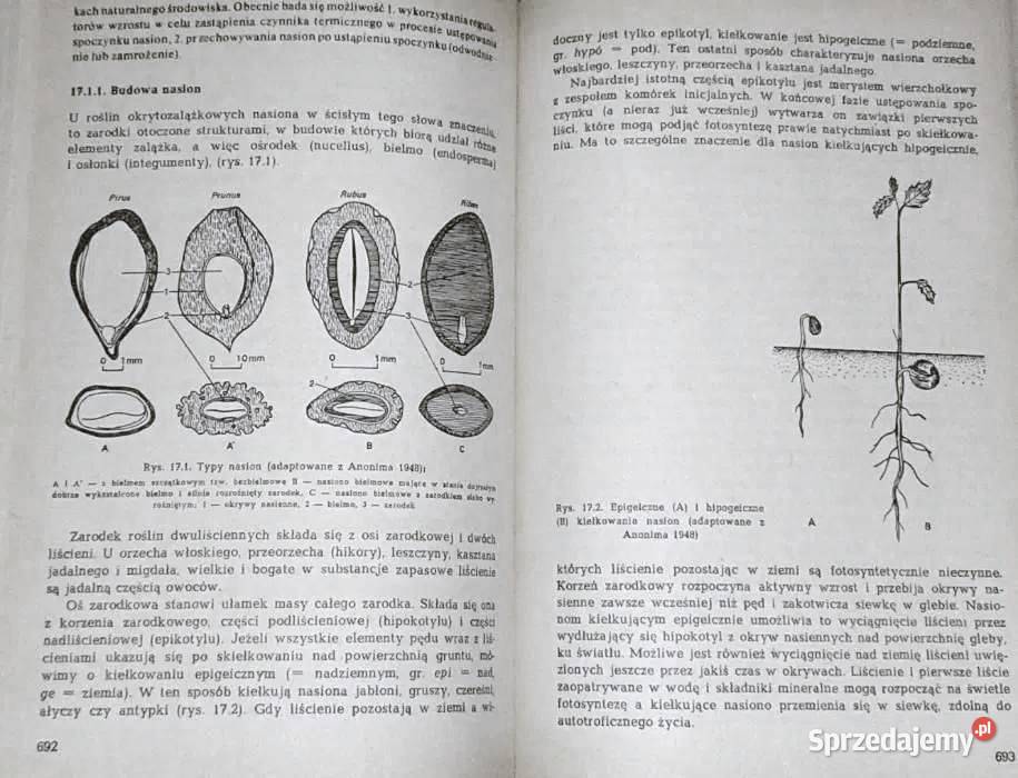 Fizjologia roślin sadowniczych Red Leszek Chełm