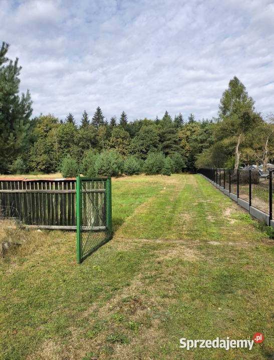 Dom z budynkiem gospodarczym 12000m2 małopolskie Żdżary