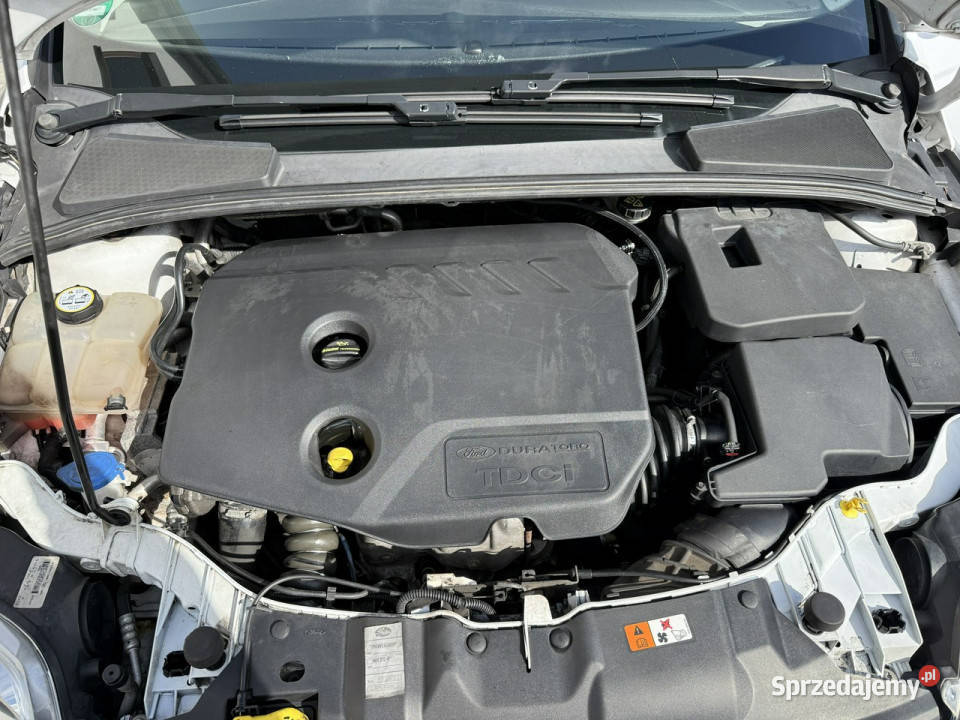 Ford Focus zadbany oryginalny przebieg 100 kurtyny powietrzne wielkopolskie