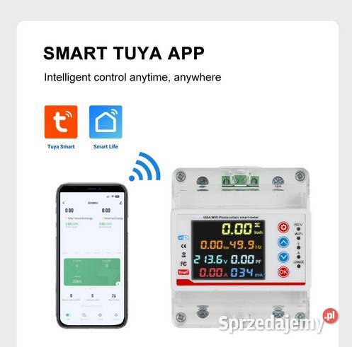 Jednofazowy dwukierunkowy licznik energii 100A Pozostałe Trześniów