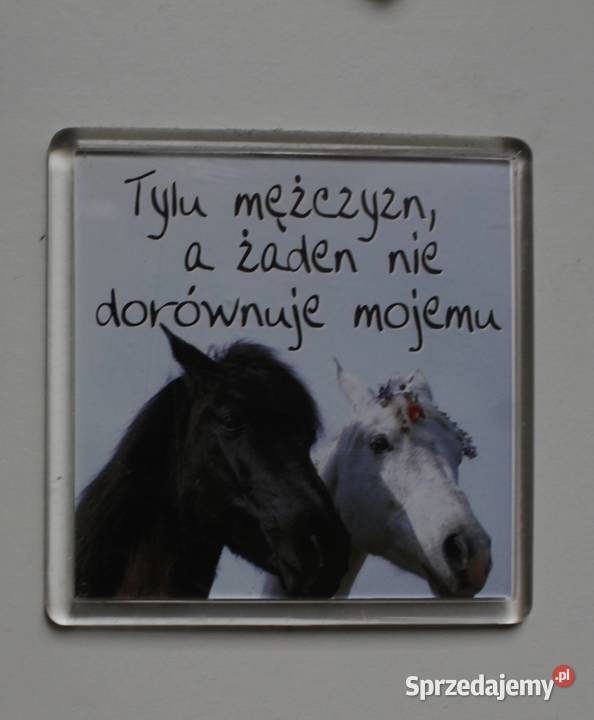 magnes magnesy lodówka lodówkę Polska konie Toruń