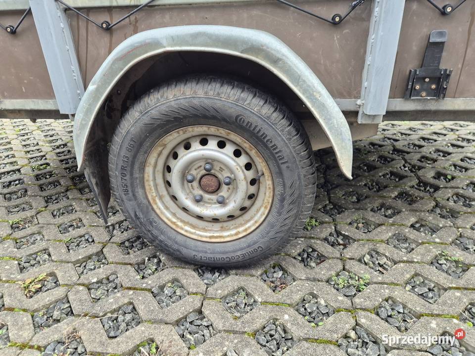 Przyczepa Flamingo Saris lekka 750 25x125m Drogobycza