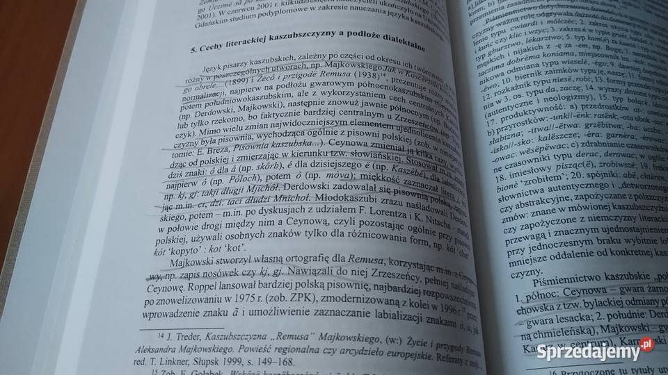 Najnowsze Dzieje Języków Słowiańskich Książki naukowe i popularnonaukowe Gdańsk