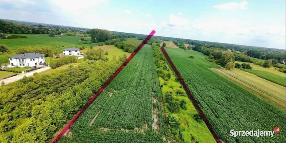DZIAŁKI INWESTYCYJNE NIERUCHOMOŚĆ Z POTENCJAŁEM Grodzisk Mazowiecki sprzedam