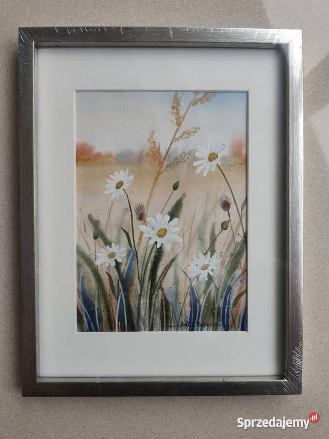 Akwarela Akwarelka Obraz pt Łąka 4 Poznań sprzedam