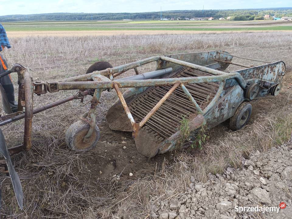 Kopaczka lewatorowa do ziemniak cebula nieuszkodzony Wodzisław