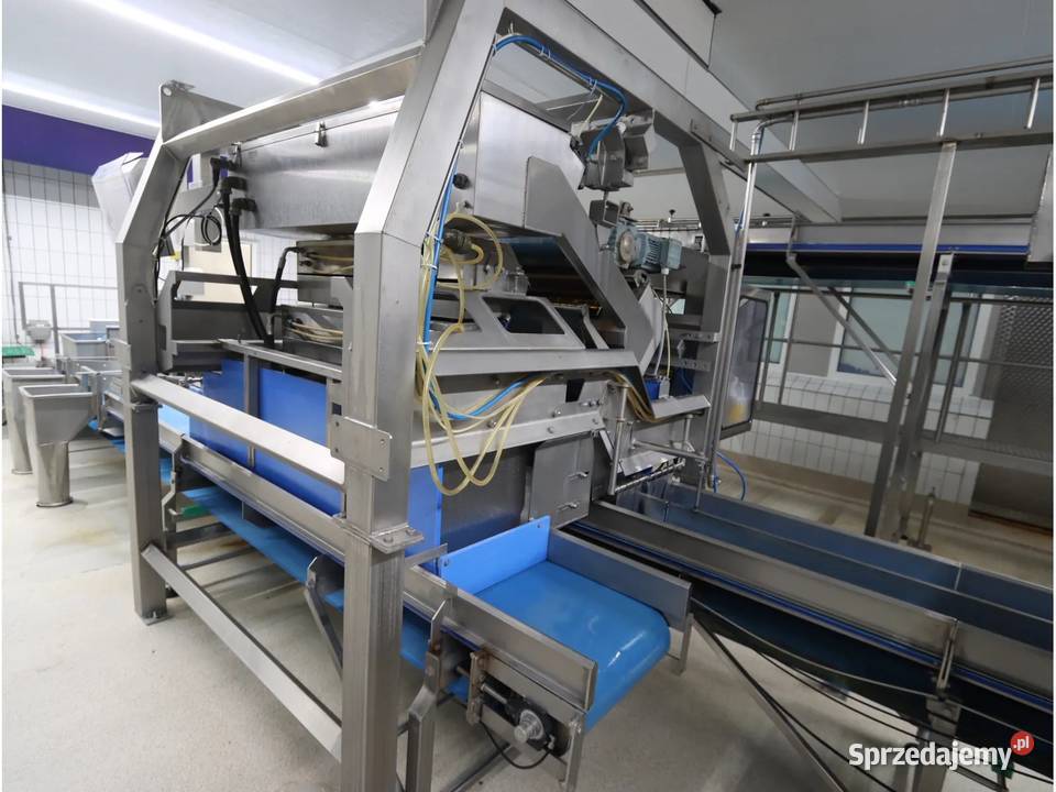 Odenberg Tomra Linia sortowania ziemniaków Krotoszyn sprzedam