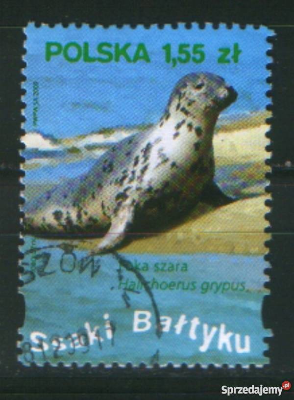 Zn Fi 4284 kas 2009 Gliwice