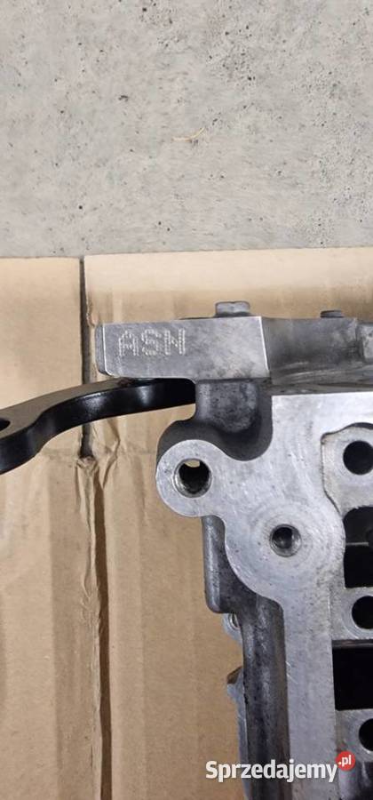 Głowice 30 V6 ASN AUDI A4 B6 Głowice cylindrów Kończyce Małe