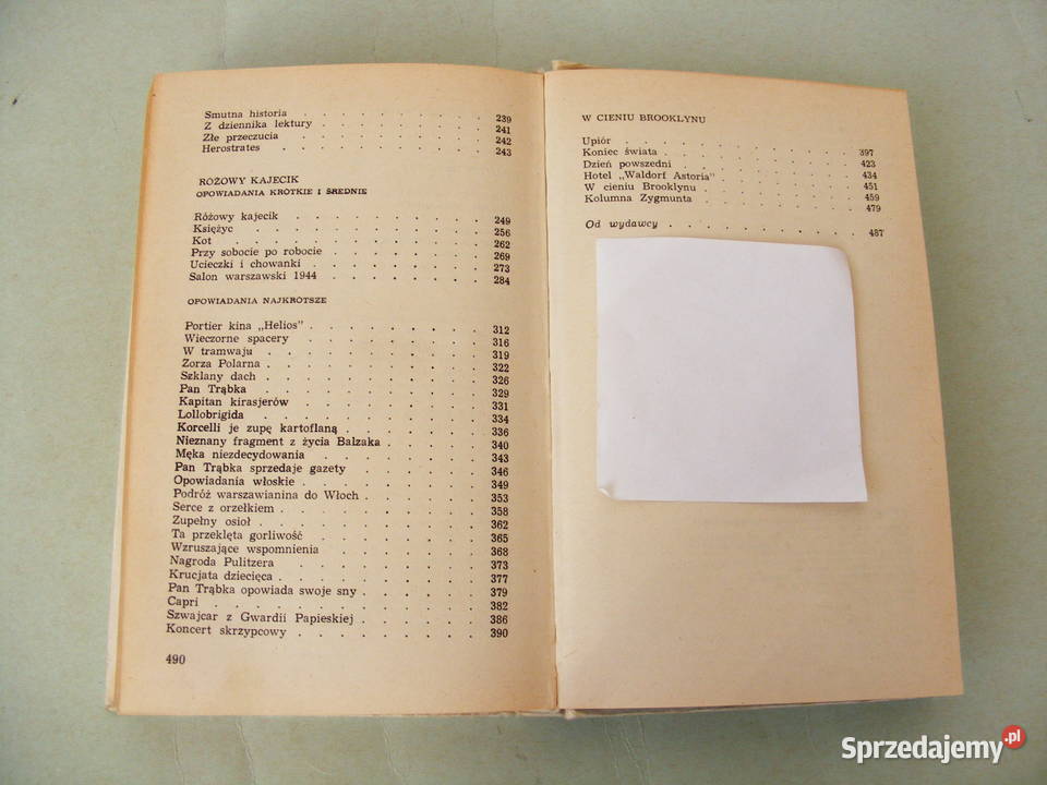 Stanisław Dygat Disneyland Na pięć minut przed