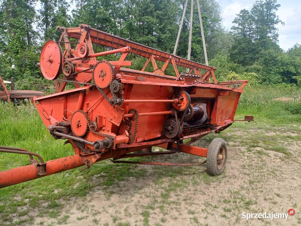Bizon z056 podkarpackie Czarna