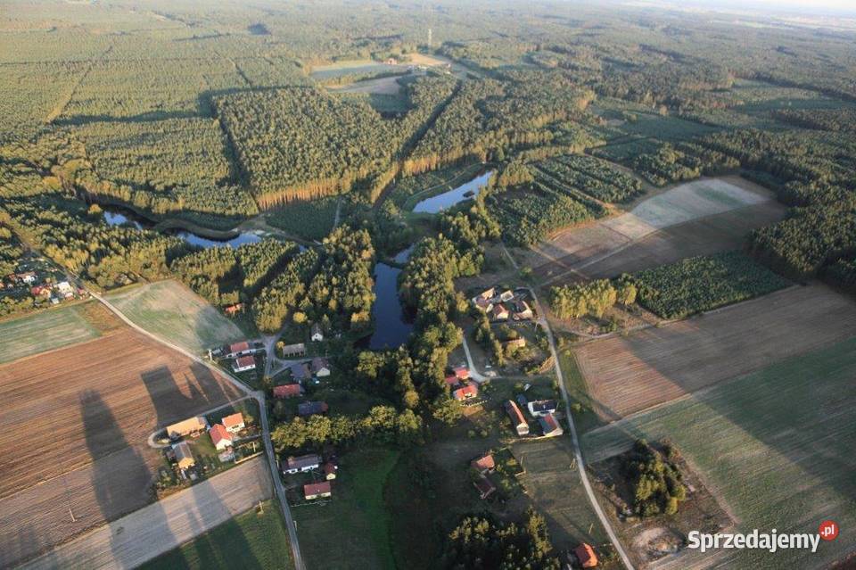 Działka rekreacyjna z prawem zabudowy letniskowa Leśna