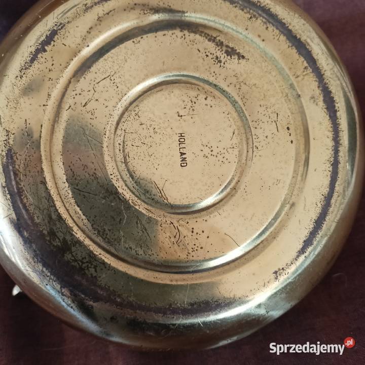 MAŁY PIĘKNY GZAJNIK HOLANDIA Mikołów