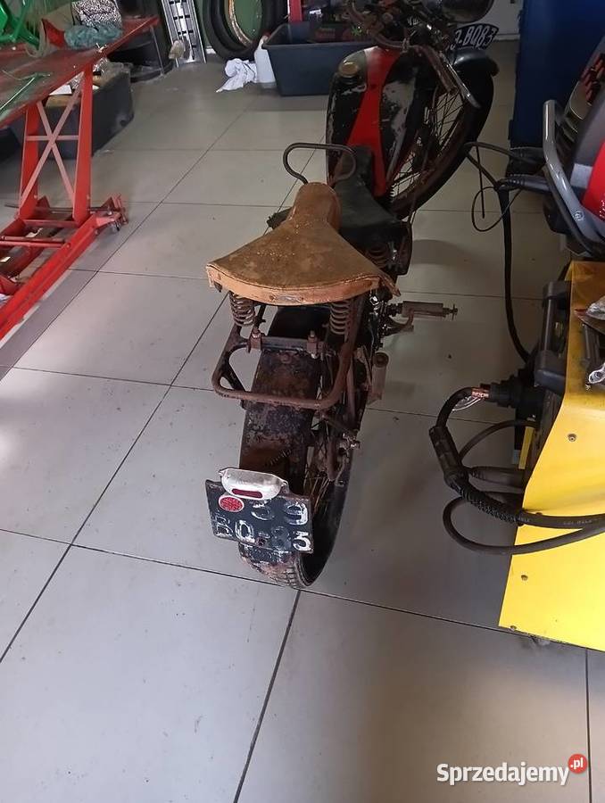 Sprzedam terrot175 Gostycyn