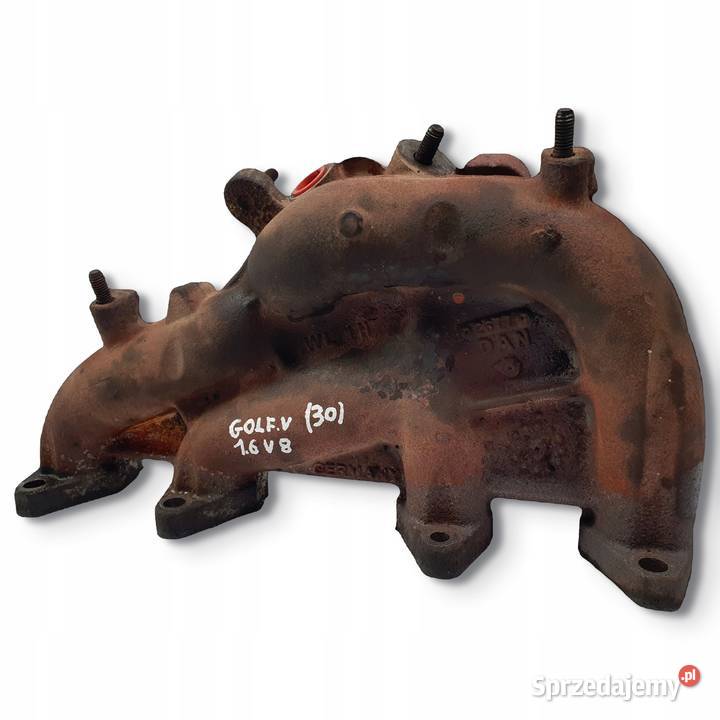KOLEKTOR WYDECHOWY VW Golf V 16 8V 06A253033AS osobowe lubelskie Chełm