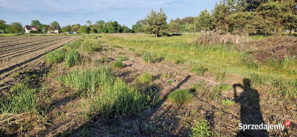 Sprzedam działkę 35 ar Grodzisko Dolne