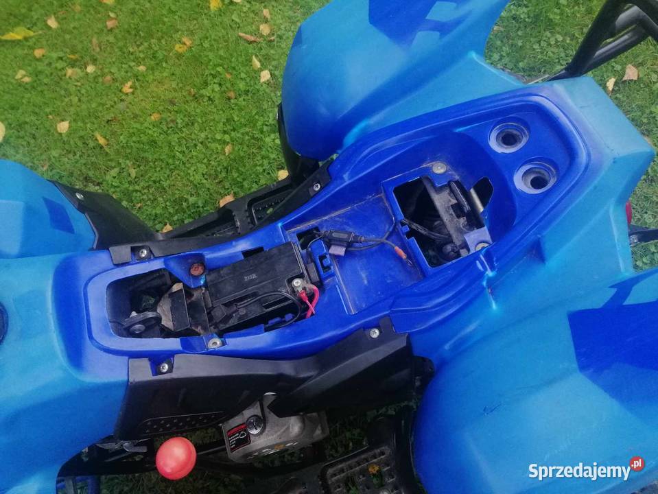 QUAD 110CC SERWISIE Niegłowice