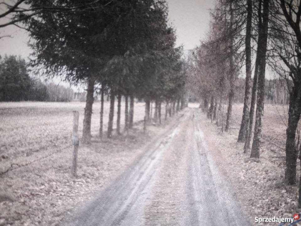 Sprzedam dom węglowe Domy lubelskie