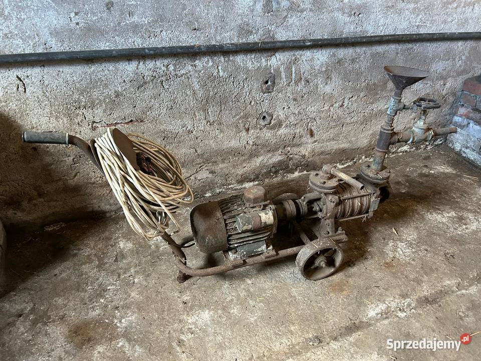 Przewoźna elektryczna pompa wodna zamontowana na sprzedam