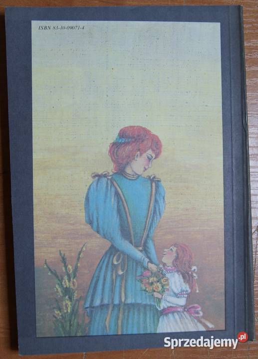 Lucy Maud Montgomery Ania ze Złotego Brzegu lubelskie