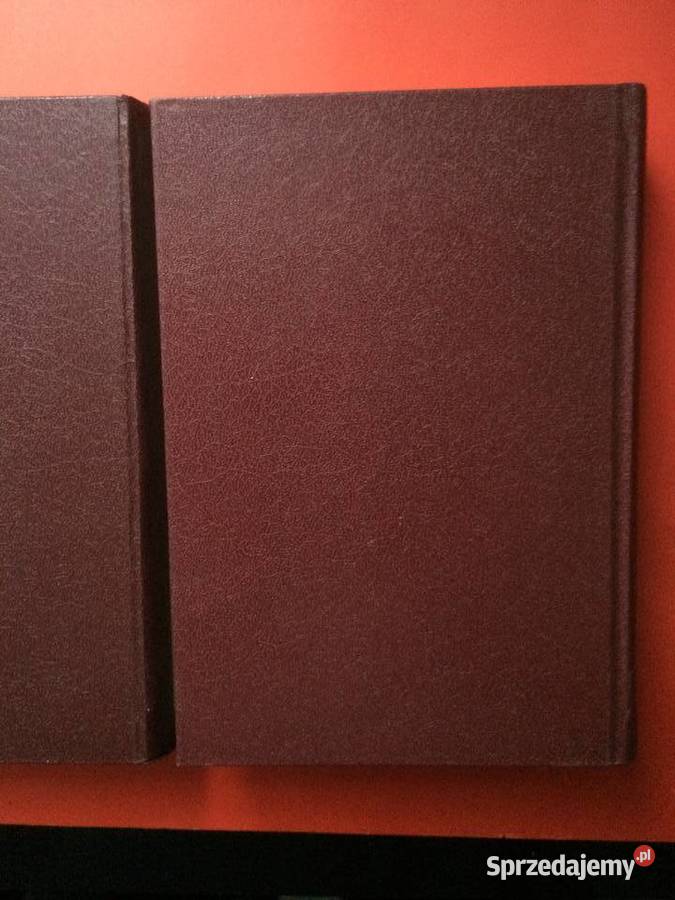 2372 Wielki Słownik Angielsko Polski Szczecin sprzedam