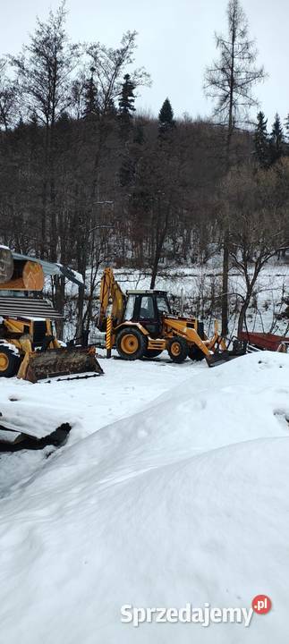 Cat 428 b nie Sól sprzedam