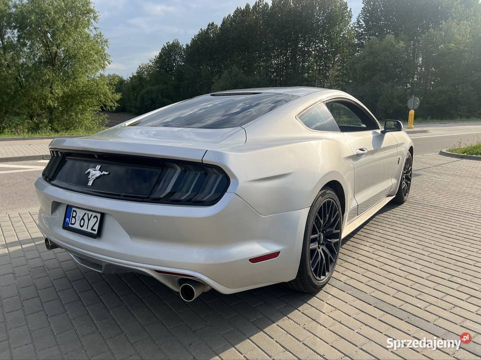 Ford mustang vi Drohiczyn