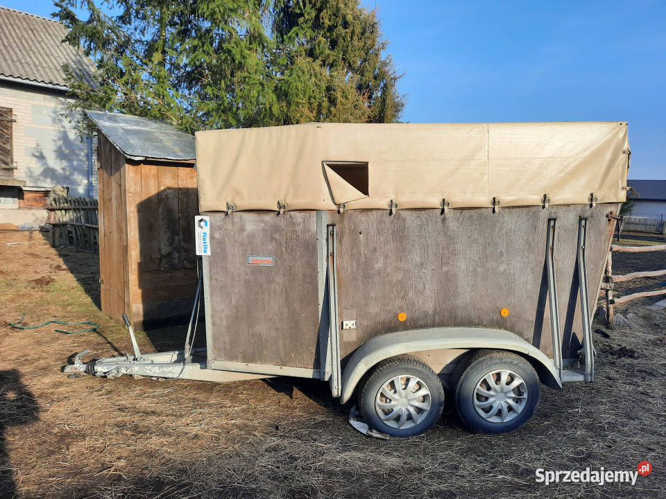Przyczepa do przewozu koni WESTERIA VT 135 DMC Dzbądzek sprzedam