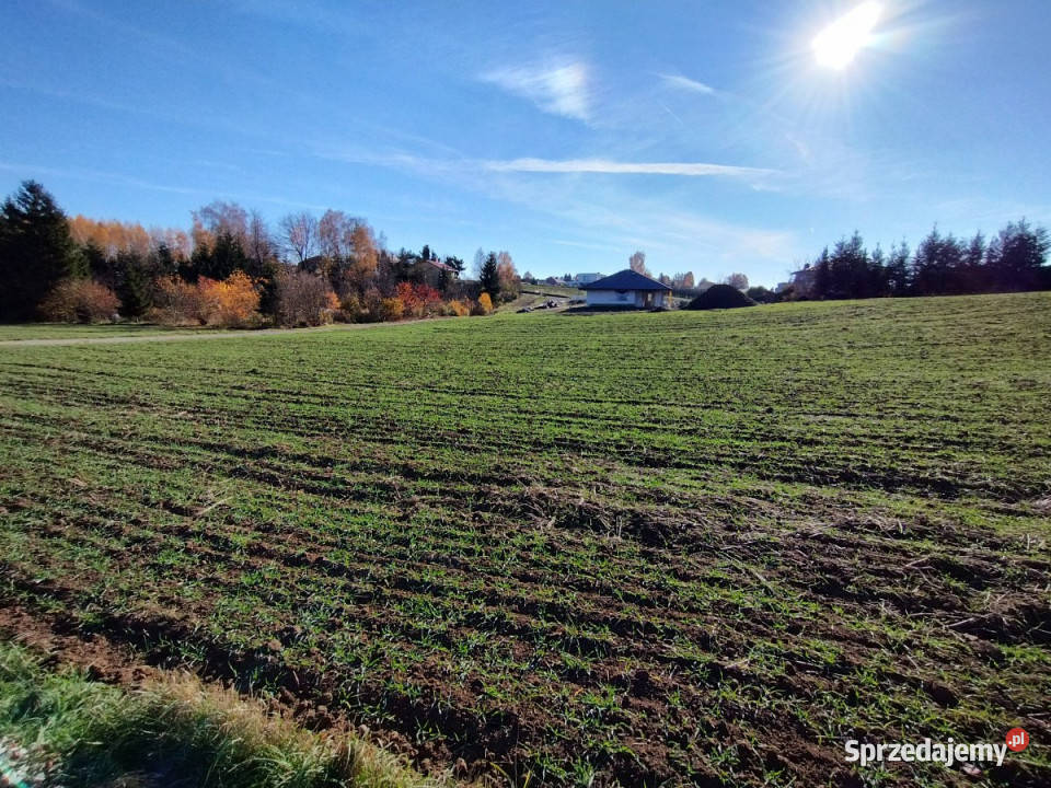 Sprzedaż działki 1667m2 Marysin sprzedam