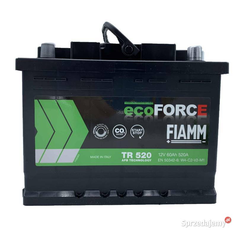 Akumulator 60AH Fiamm ECOFORCE AFB Grudziądz