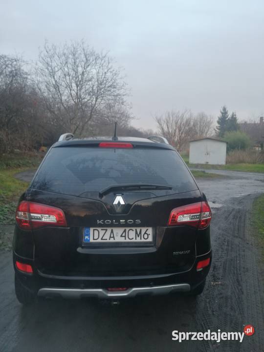 Renault Koleos BEZWYPADKOWY mały przebieg Henryków