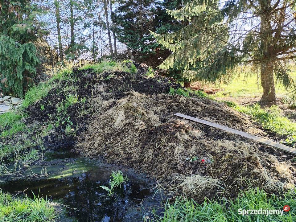 Obornik koński ok 100 ton Kamień Pomorski