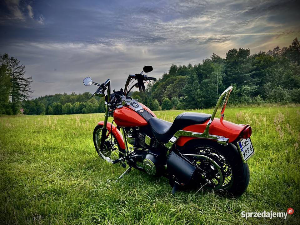 Harley Softail Standard 2004