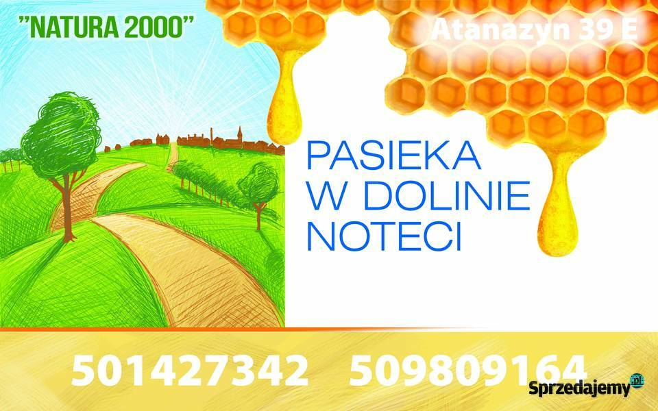 Sprzedam przezimowane rodziny pszczelepszczoły Szamocin