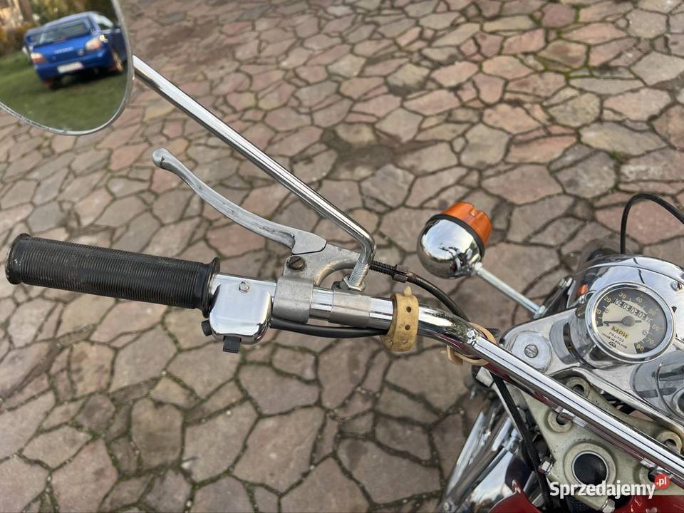 WSK Export 175 Full Zarejestrowana Igla Chełm