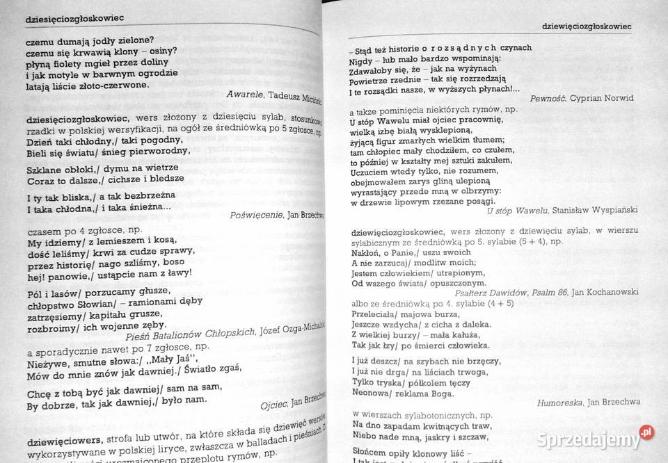 Szkolny słownik terminów literackich Tomasz Rok wydania 1998 Chełm sprzedam