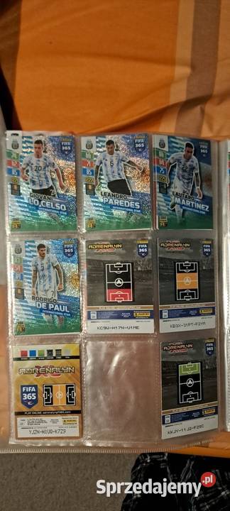 Karta panini album ponad 100 kart Rzeszów