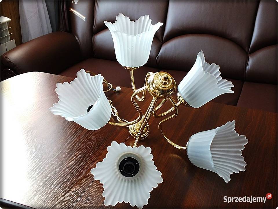 Złoty Żyrandol 5 ramienny Piękna Lampa wisząca z Lampy Żary