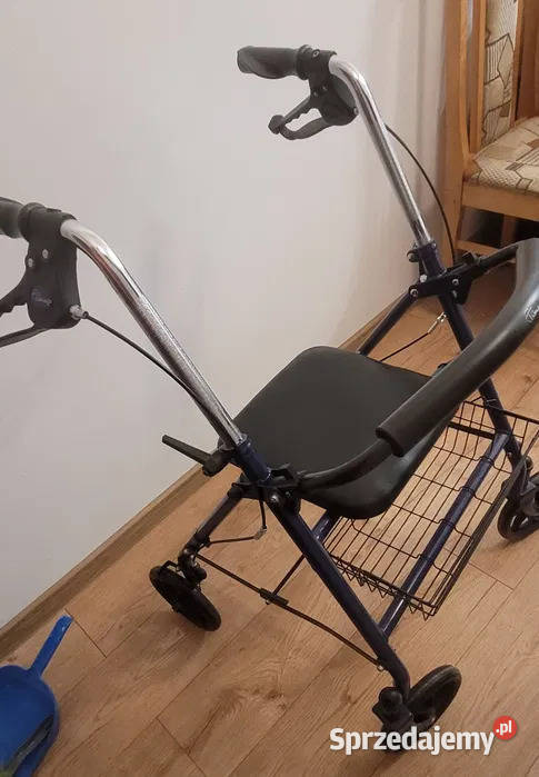 Chodzik z koszykiem Kozerki